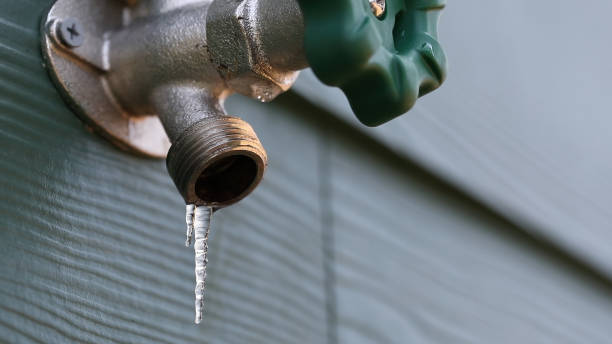 Best Residential Plumbing Services  in Prairie City, IA